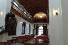 conjunto-organos-tubulares-01