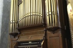 conjunto-organos-tubulares-04