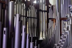 conjunto-organos-tubulares-05