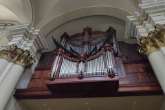 conjunto-organos-tubulares-07