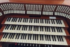 conjunto-organos-tubulares-08