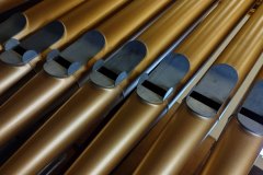 conjunto-organos-tubulares-09