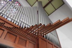 conjunto-organos-tubulares-10