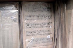 NuevaCultura-Ropain-02